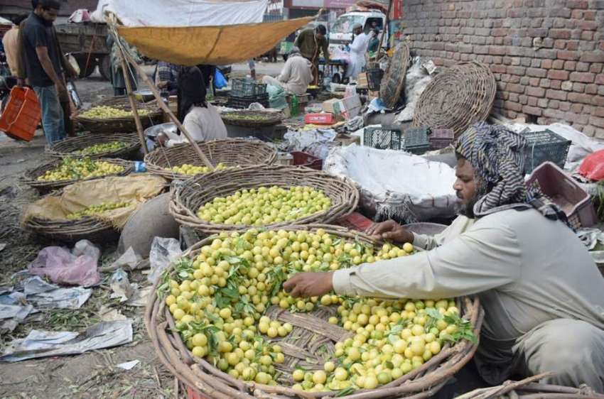 لاہور : سبزی منڈی میں ایک محنت کش لیموں فروخت کر رہا ہے۔