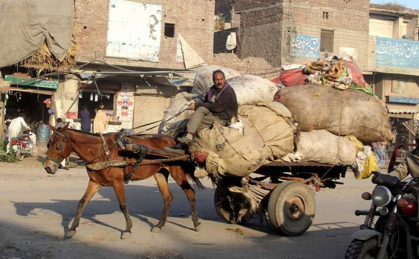 لاہور: ایک شخص ریڑھے پراوورلوڈنگ کئے جارہا ہے۔ 
