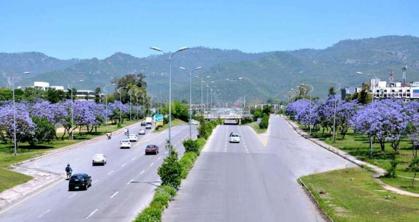 اسلام آباد: 9 ویں فیصل ایوینیو پر سڑک کے کنارے پھول کھلنے ..