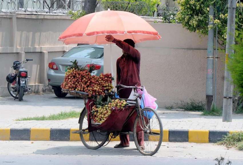 راولپنڈی:سڑک کنارے سائیکل پر لیچی فروخت کر نیوالا ایک شخص ..