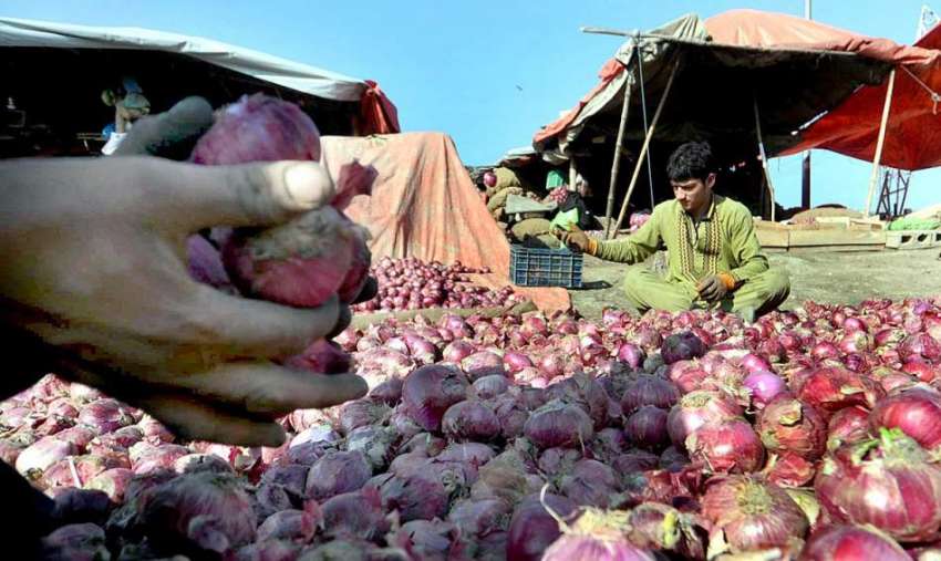 اسلام آباد: فروٹ اور سبزی منڈی میں اپنے اسٹال پر اچھے قسم ..