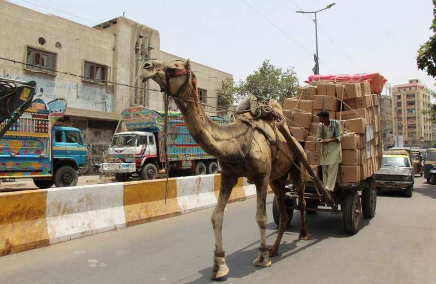 کراچی: ماضی میں اونٹ کی گاڑی پر سامان لادنے کا رواج تھا ، ..