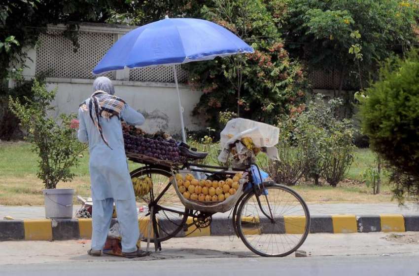 راولپنڈی: کچہری روڈ پر ایک محنت کش اپنی سائیکل پر پھل فروخت ..
