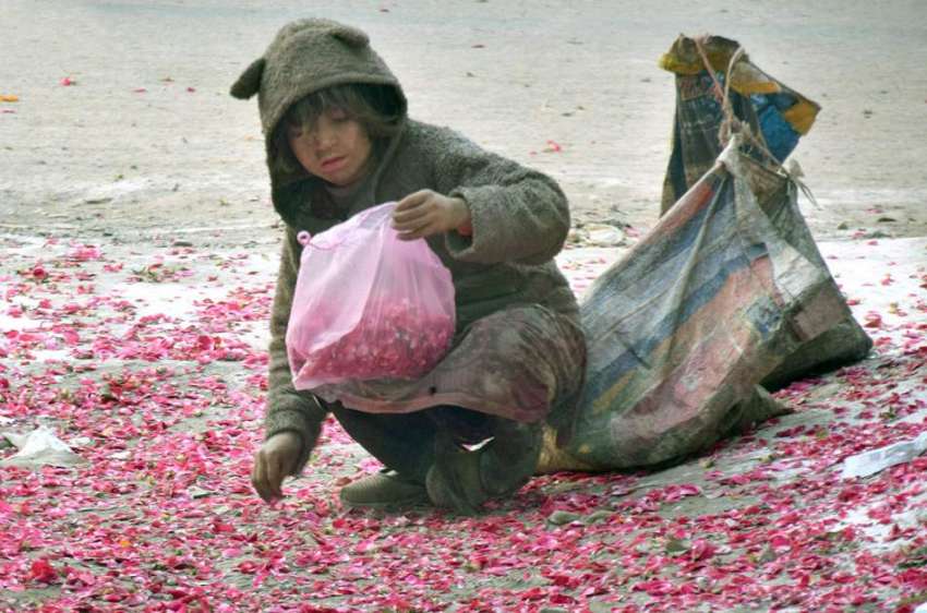 لاہور : خانہ بدوش بچی زمین پرگرے پھول کی پتیاں اکٹھی کررہی ..