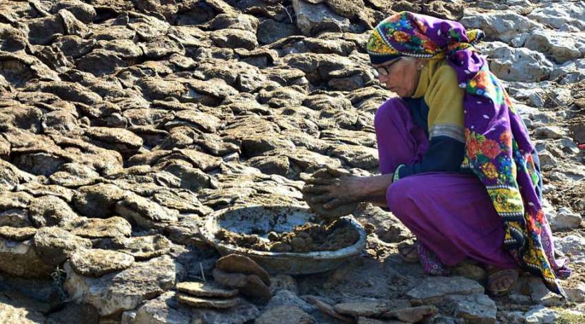 حیدرآباد:ایک کسان خاتون بطورایندھن کھانا پکانے کے لئے گوبردھوپ ..