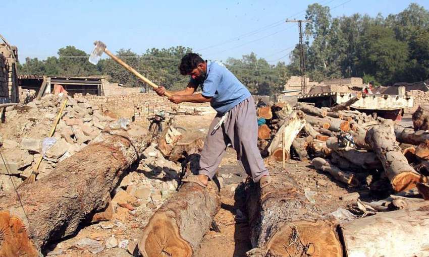 سرگودھا: ایک مزدور اپنے کام کی جگہ پر لکڑی کاٹ رہا ہے
