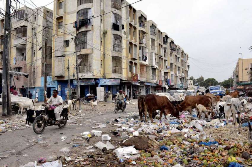 کراچی:عزیز آباد کے علاقے میں کچرے کا ڈھیر لگا ہوا ہے جس کے ..