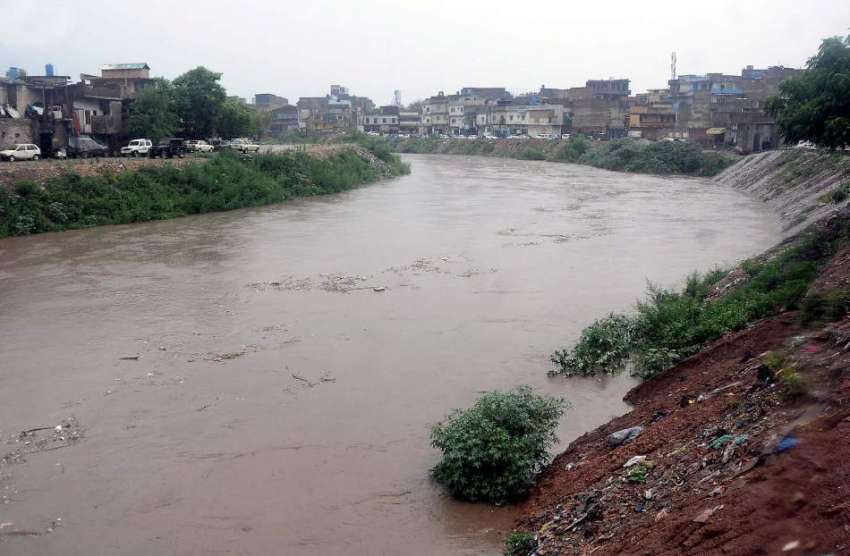 راولپنڈی: موسلا دار بارش کے باعث نالہ لئی میں پانی کی سطح ..