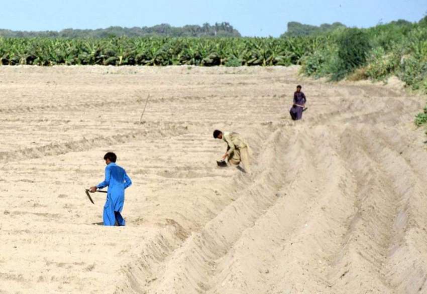 حیدرآباد، نئی فصل کی کاشت کیلئے کسان زمین تیار کر رہے ہیں۔