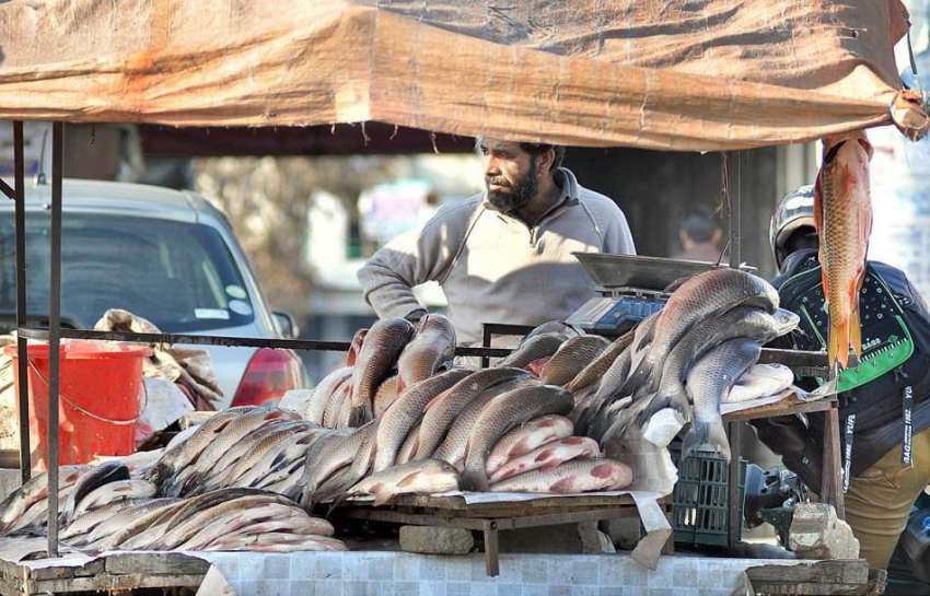 اسلام آباد: ایک دکاندار صارفین کو راغب کرنے کے لئے مچھلیاں ..