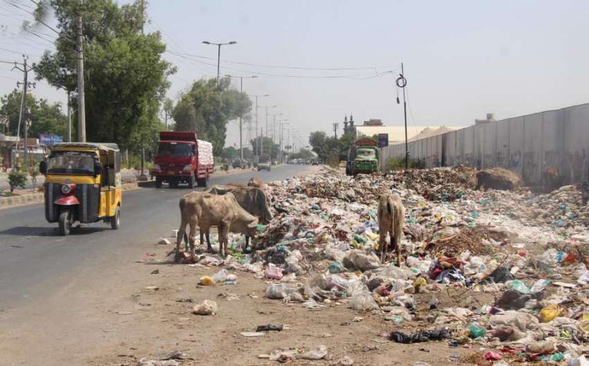 کراچی: ماڈل کالونی کی مین شاہرہ پر کچرے کے ڈھیر لگے ہوئے ..