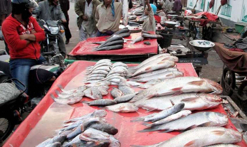 کراچی، صدر کے علاقے میں شہری مچھلی خرید رہے ہیں۔
