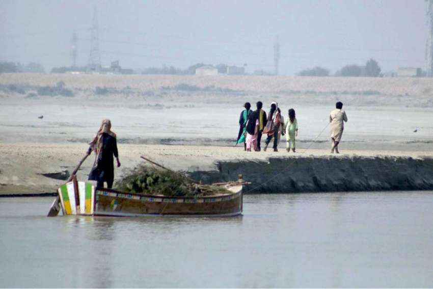 حیدرآباد: دریائے سندھ میں درختوں سے لدی کشتی ایک شخص کشتی ..