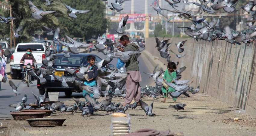 کراچی، تین تلوار چورنگی کے قریب بچے کبوتروں کو دانہ ڈال ..