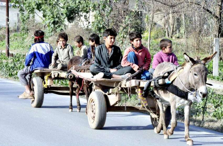 اسلام آباد: خانہ بدوش بچے گدھے گاڑی پر سوار اپنی منزل کی ..