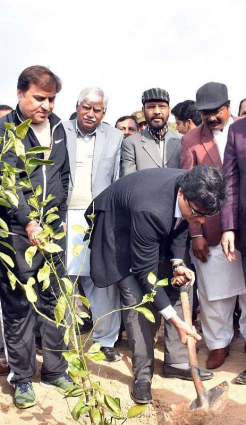 فیصل آباد: ڈی سی محمد علی ایف ڈی اے سٹی میں پودا لگا رہے ہیں۔