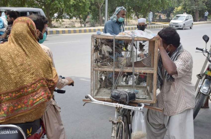 لاہور شہری پرندے آزاد کروا رہے ہیں۔ 