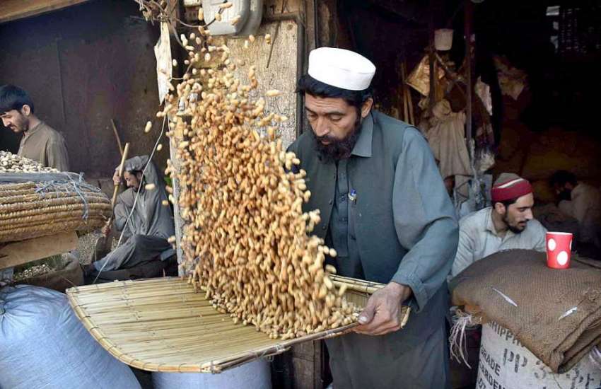 پشاور: کام کرنے کی جگہ پر ایک مزدور روایتی انداز میں مونگ ..
