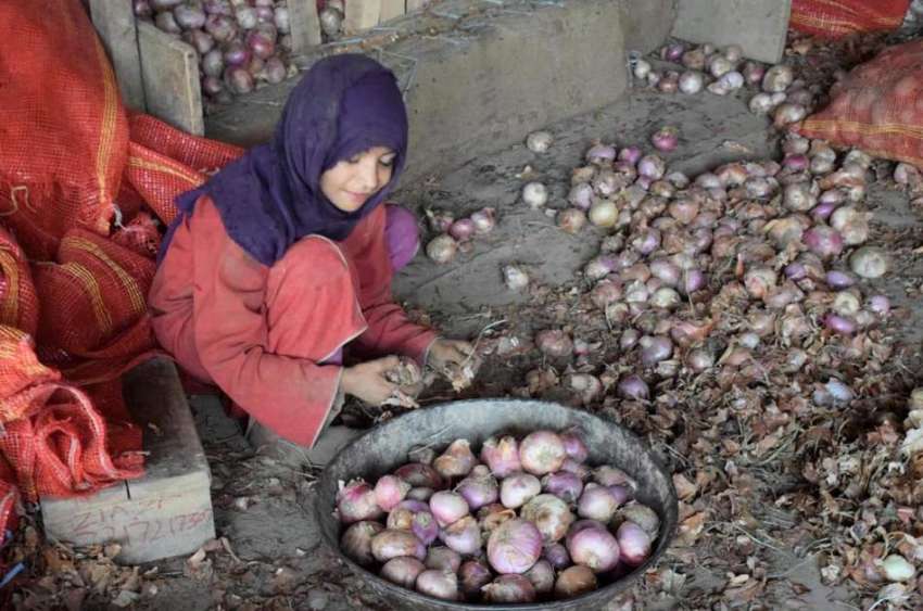 لاہور : سبزی منڈی میں ایک محنت کش بچی پیاز چھانٹی کر رہی ہے۔ ..