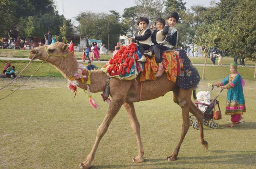 لاہور: جیلانی پارک میں جشن بہاراں فیسٹیول میں بچے اونٹ کی ..