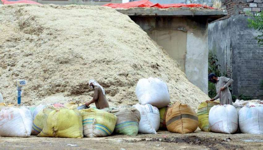 راولپنڈی: شہر میں پیر واہدی کے علاقے میں مزدور بیگ بھوسی ..