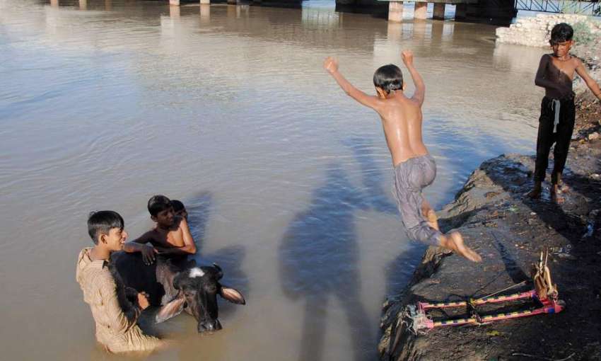 حیدر آباد: گرمی کے باعث بچے اور جانور نہر میں نہارہے ہیں۔ ..