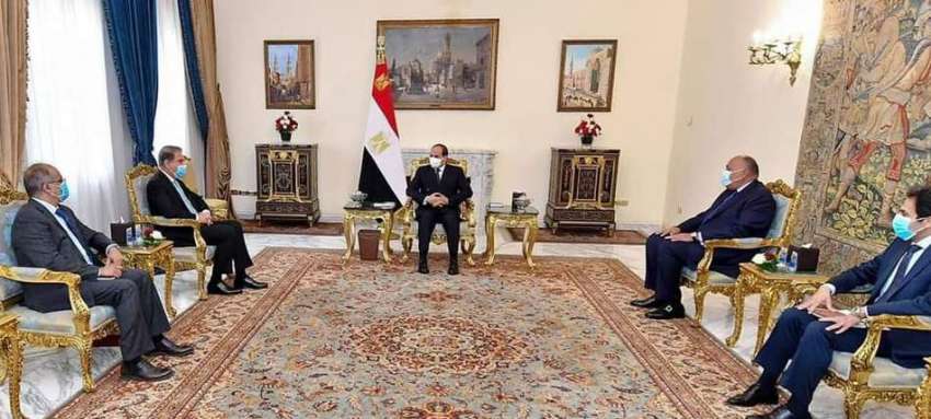 قاہرہ، مصری صدر عبدالفتح السیسی سے وزیر خارجہ شاہ محمود ..