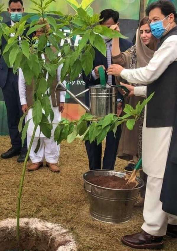 اسلام آباد، وزیراعظم عمران خان ایف نائن پارک میں پودا لگا ..