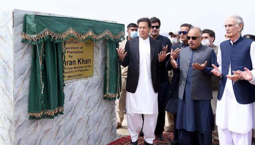 نوشہرہ، وزیراعظم عمران خان ڈسٹرکٹ نوشہرہ میں زیتون کی شجرکاری ..