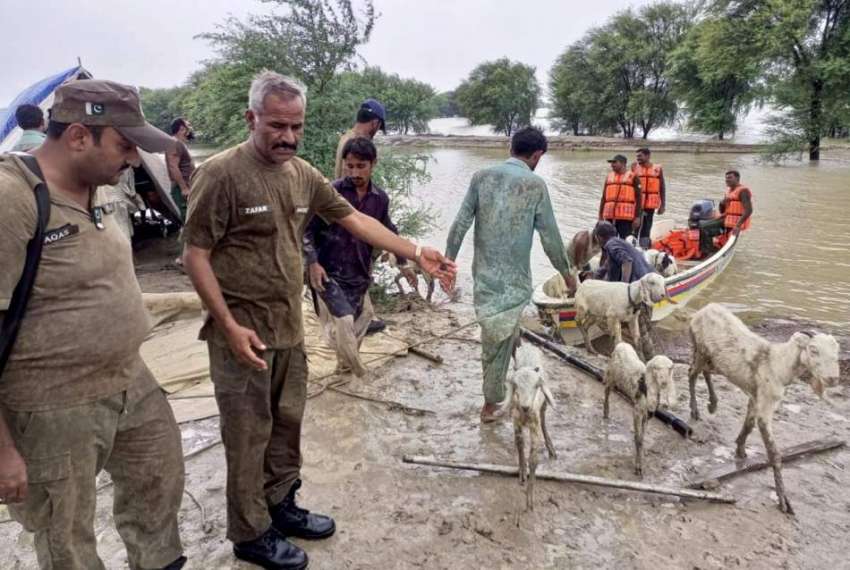 ڈیرہ غازی خان، پولیس اہلکار سیلاب سے متاثرہ علاقوں میں امدادی ..
