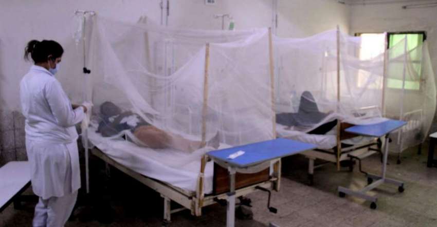کراچی، سول ہسپتال میں ڈینگی کے مریضوں کو ابتدائی طبی امداد ..