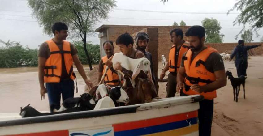 ڈیرہ غازی خان، پولیس اہلکار سیلاب سے متاثرہ علاقوں میں امدادی ..