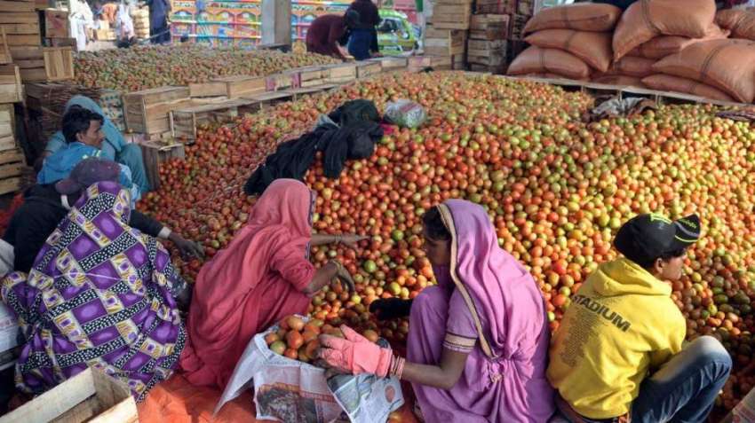 حیدرآباد، سبزی منڈی میں خواتین مزدور پیٹیوں میں ٹماٹر پیک ..