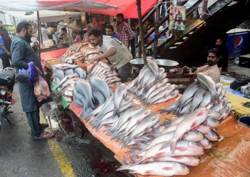لاہور، ایک شہری منڈی سے مچھلی خرید رہا ہے۔
