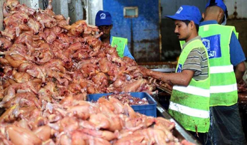 کراچی، الخدمت کے رضا کار مستحقین میں تقسیم کرنے کیلئے مرغی ..