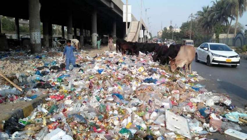 کراچی، یونیورسٹی روڈ پر جمع کچرے  کا ڈھیر متعلقہ ادارے کی ..