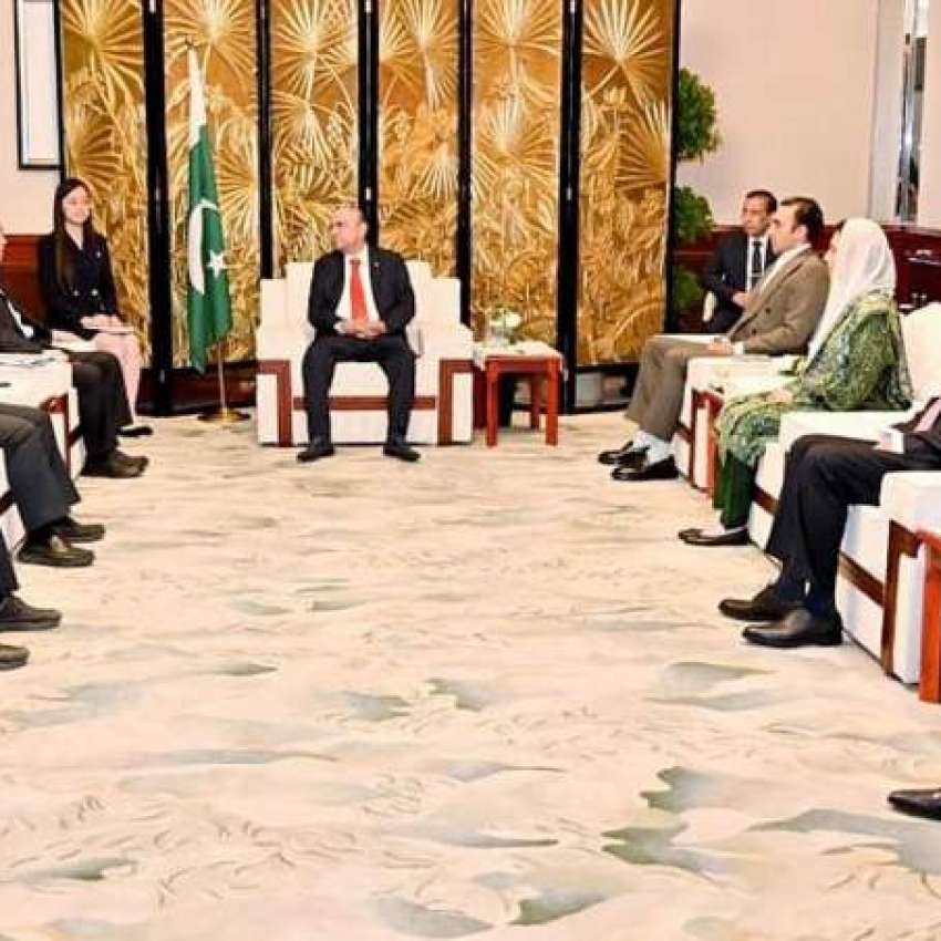 شنگھائی، صدر مملکت آصف علی زرداری سے چین کی معروف آٹو موبائل ..