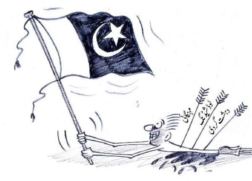 منگل 14 اگست 2012 کا کارٹون