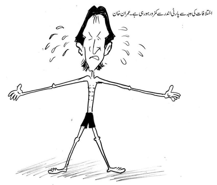 اختلافات کی وجہ سے پارٹی اندر سے کمزور ہو رہی ہے، عمران خان
