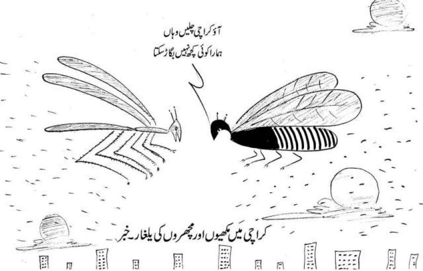کراچی میں مکھیوں اور مچھروں کی یلغار۔ خبر