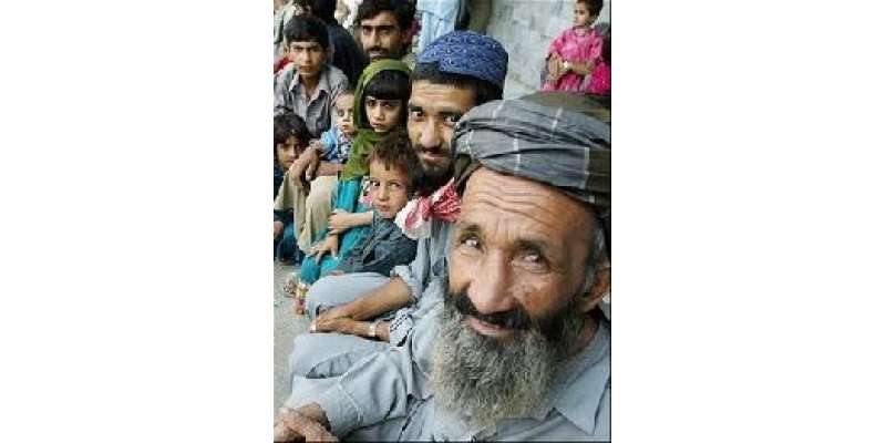 تین لاکھ سے زائد افغان مہاجرین ملی بھگت سے پاکستانی شہری بن گئے