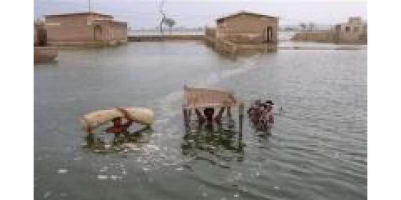 بلوچستان کے سیلاب سے متاثرہ علاقوں میں وبائی امراض نے شدت اختیار کرلی، ..
