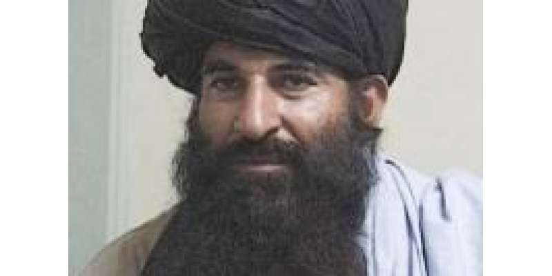 مہمند ایجنسی میں6 گروپوں پرمشتمل تحریک طالبان نامی نئی تنظیم کا قیام