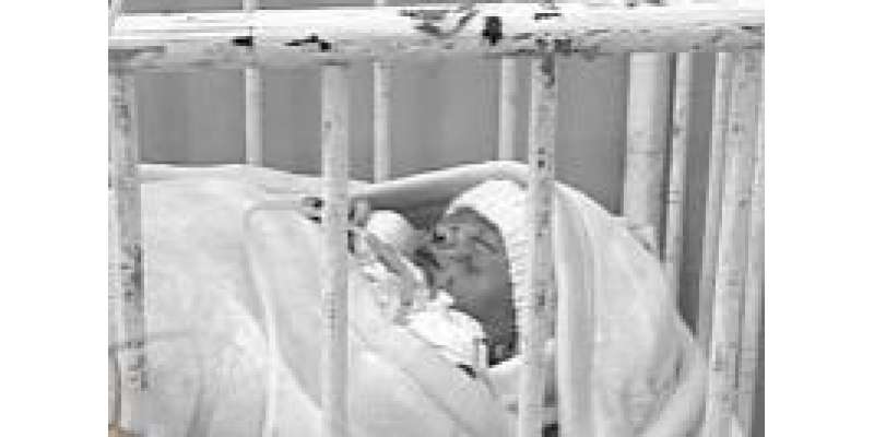 راولپنڈی: ہولی فیملی ہسپتال میں چوہوں نے نومولود نوچ ڈالا