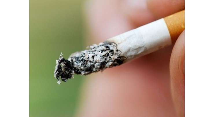 رواں مالی سال کے پہلے 8 ماہ جولائی تا فروری 2013-14ء کے دوران12.82 ملین ڈالر کا تمباکو اور سگریٹ برآمد