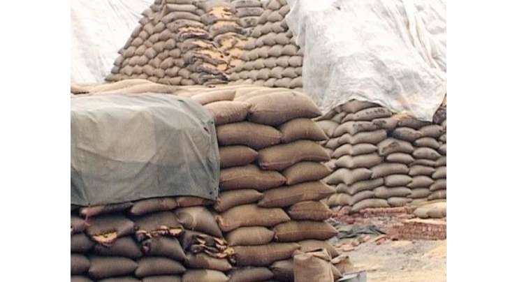 جیکب آباد ،گندم کی بلوچستان اور افغانستان اسمگلنگ ہونے لگی، 9ہزار گندم کی بوریاں چوری ہونے کا انکشاف