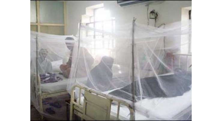 پنجاب میں مزید 9 افراد میں ڈینگی وائرس کی تصدیق، صوبے میں مریضوں کی تعداد 25 ہوگئی
