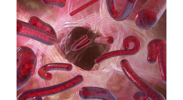 ایبولا کے وائرس کے خلاف مدافعت پیدا کرنے والی ایک ویکسین تیار کرلی، امریکی کمپنی کا دعوی