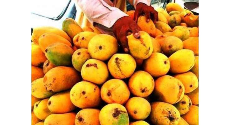 روس کی یورپ اور جنوبی امریکا سے پھلوں کی برآمد پر پابندی، پاکستانی برآمدکنندگان کیلئے نئی راہیں کھل گئیں