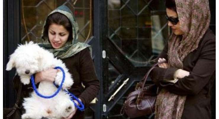 ایرانی پارلیمنٹ میں کتا پالنے پر کوڑے اور جرمانے کی سزاکاقانون پیش